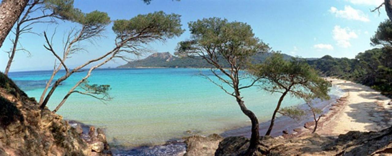 Eco-Lodge Lou Pantai Le Pradet Bagian luar foto